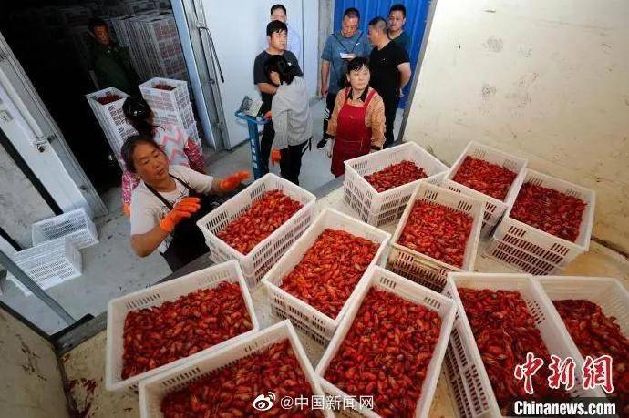 课堂|辣条螺蛳粉进学校专业课堂，吃辣条长大的孩子开始研究辣条了