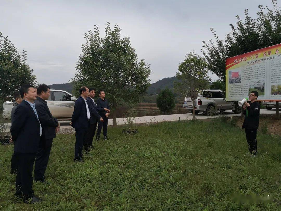 武都区人GDP_陇南市武都区宾馆美女