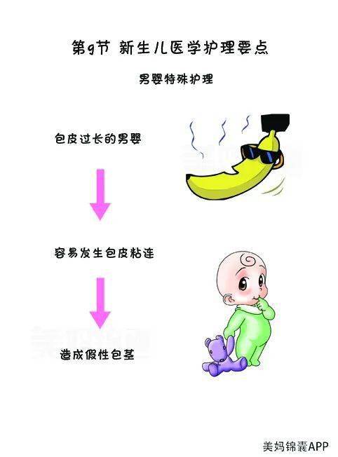 宝宝|男婴包皮过长的特殊护理？
