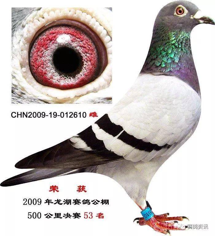 9d308aaa29b941edba7d7945195024ad.jpeg