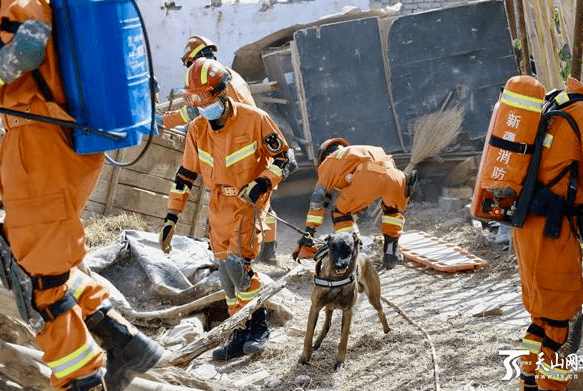 2020伽师县GDP_伽师县的风景图片(3)