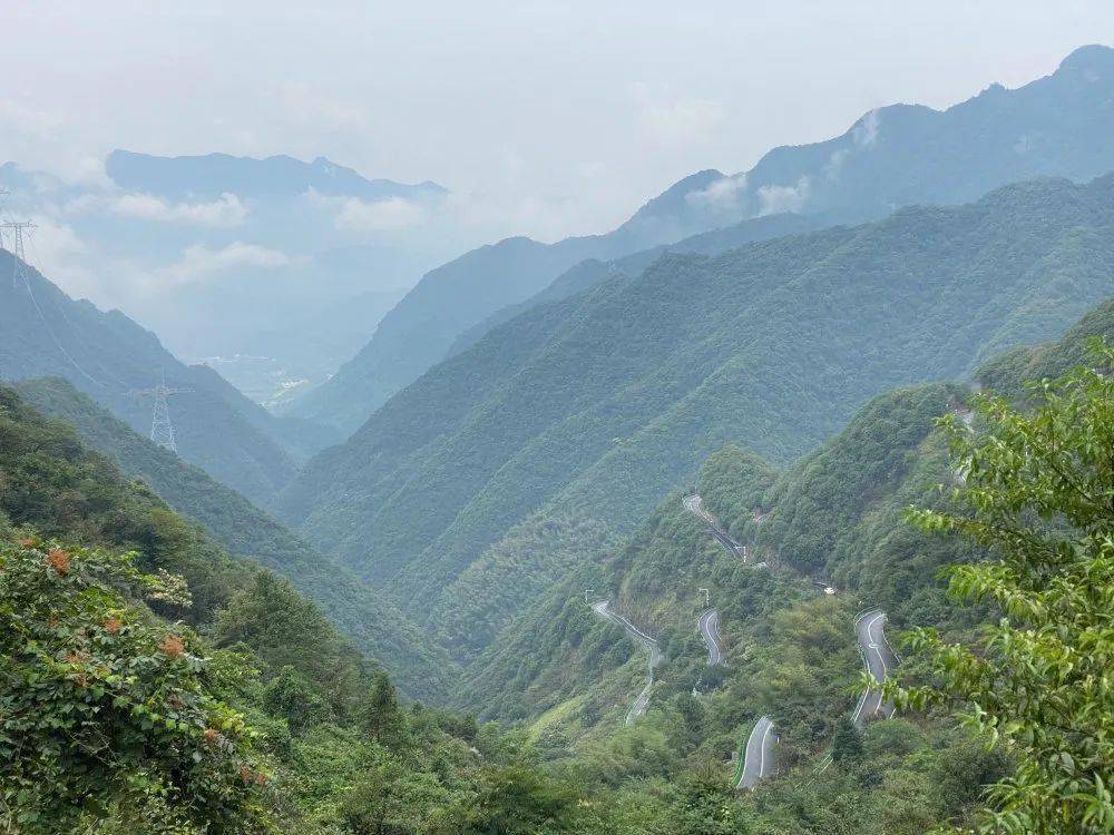 宣为人知闻蜂而动打卡泾县桃岭六道弯