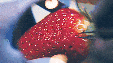 鼻子|米粒大的黑头，瞬间吸出，整个鼻子新生了！