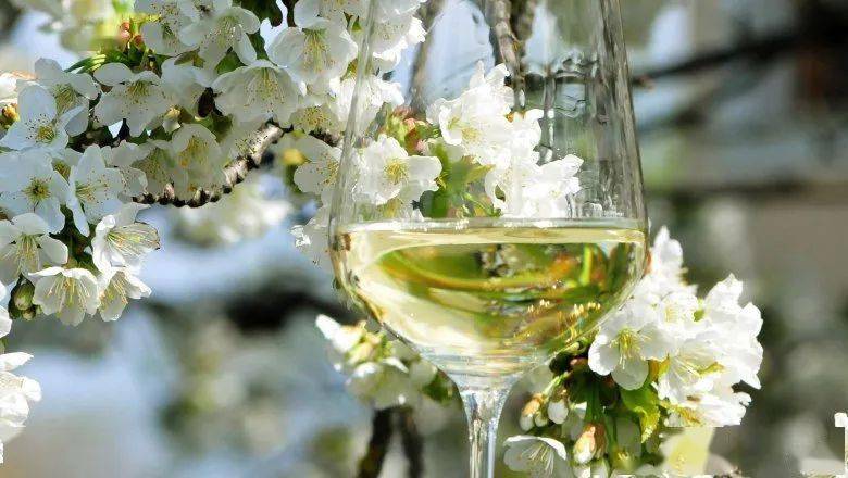 恋人|约会喝什么葡萄酒？这才是恋人间的正确打开方式！