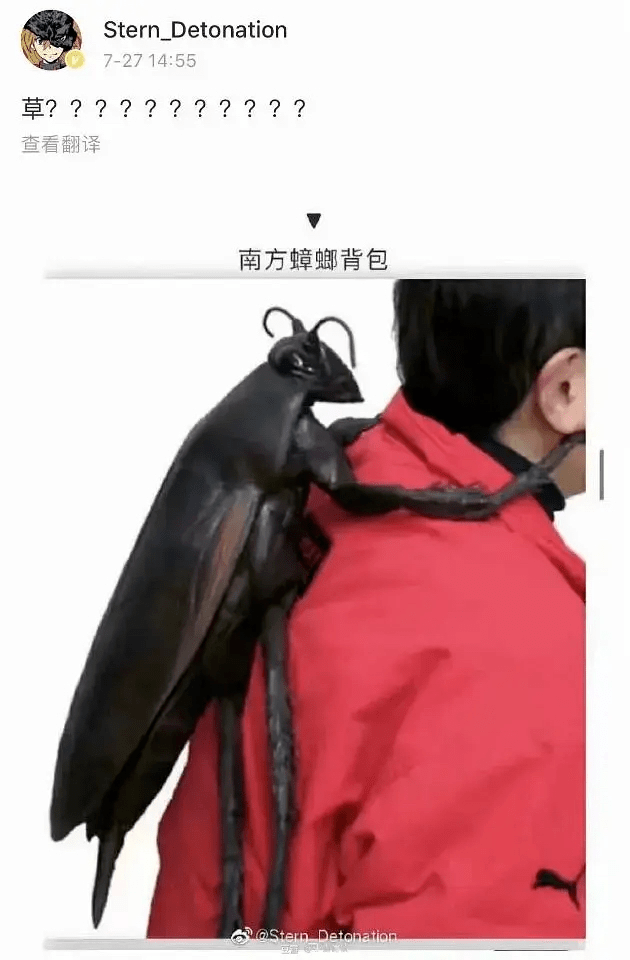 杯子|香奈儿断头台，死的好贵哦