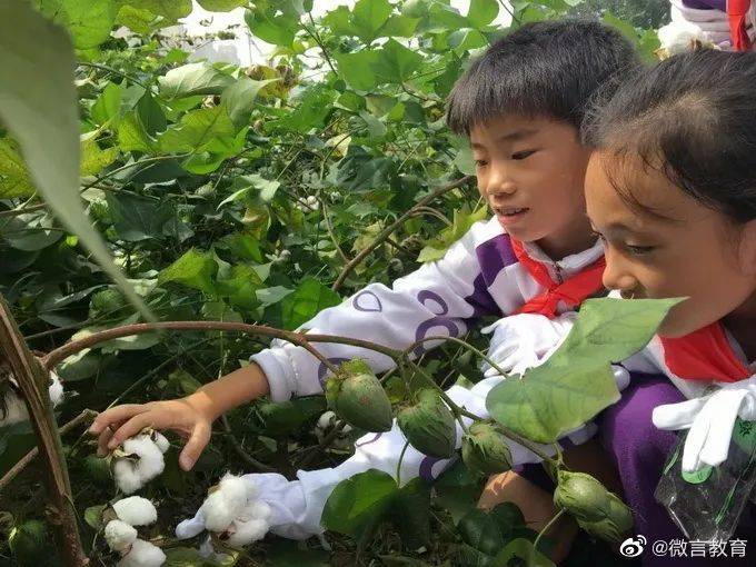 北京市|学校喊你来“种地”！让孩子走向田间地头