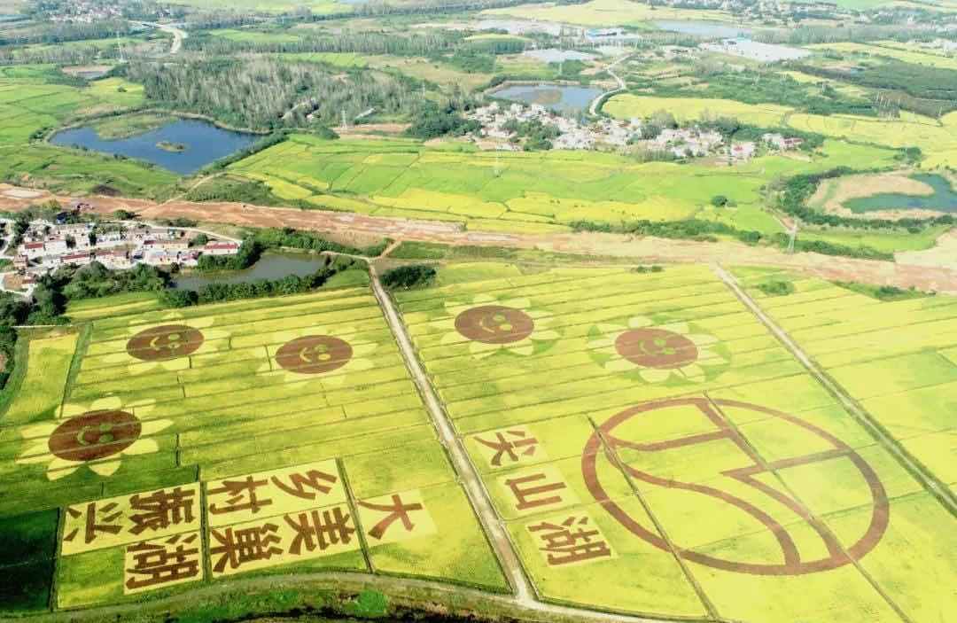 湖岗乡人口_人口普查
