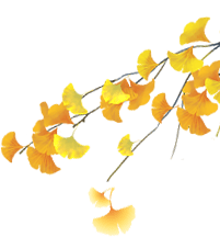 8eb05790770049f2b821191d0f8cfddb.png