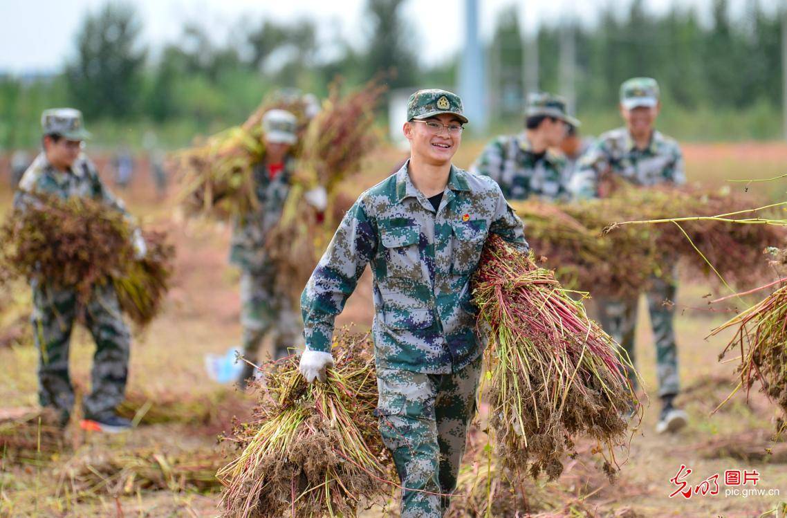 劳动|内蒙古：大学生田园劳动实践教育周启幕