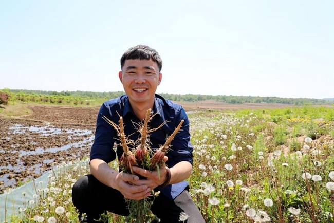 故乡的土地,儿时的蒲公英使张冬宇实现了致富的梦想(郑智镪摄)