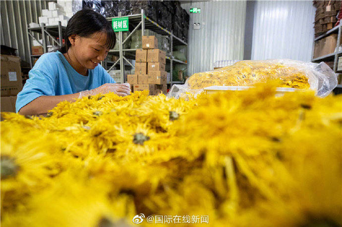 攻坚|【脱贫攻坚·小康路】从田间地头到百姓餐桌 农村电商助力脱贫攻坚