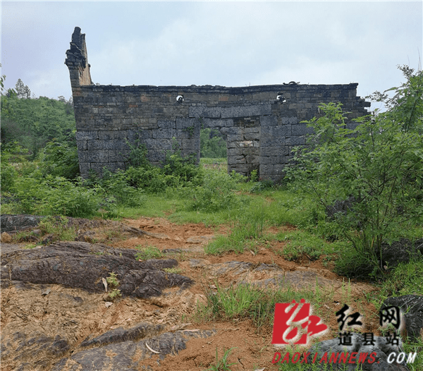 陈树湘|忠诚之路⑨丨陈树湘冯督庙里不幸被捕