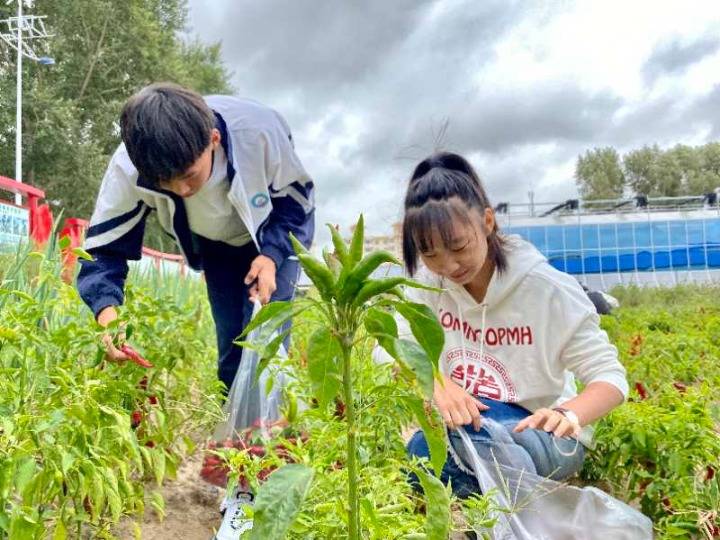 李果刚|半月谈 ｜ 不能只为了成绩前30%的学生，而放弃另外70%的学生