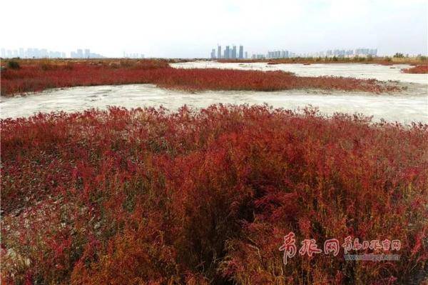 青岛|国庆中秋都去哪？青岛位居全国热门旅游城市第七！最火爆的城市竟然是……