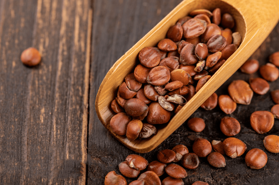 酸枣仁的功效与作用中药 8f0c06f7f559419caf5eb964081528e3.png