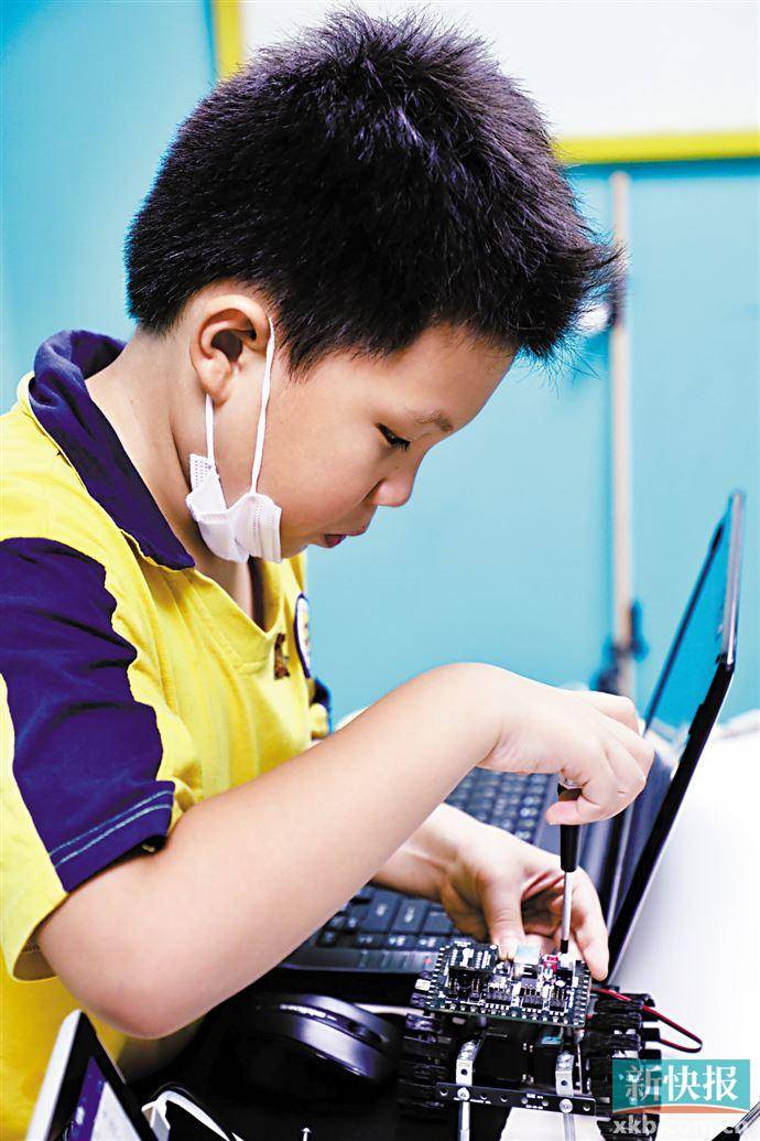 编程|学编程要从娃娃抓起 VS 太早学习可能起反作用