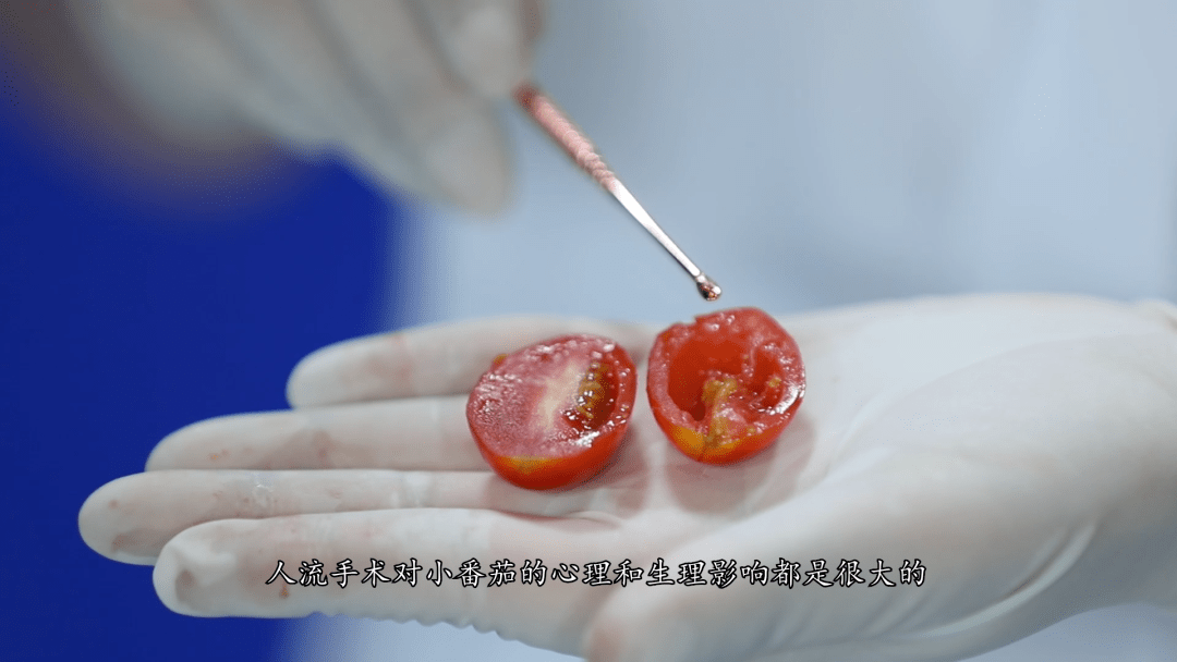 余杭区2020年上半年G_余杭区地图