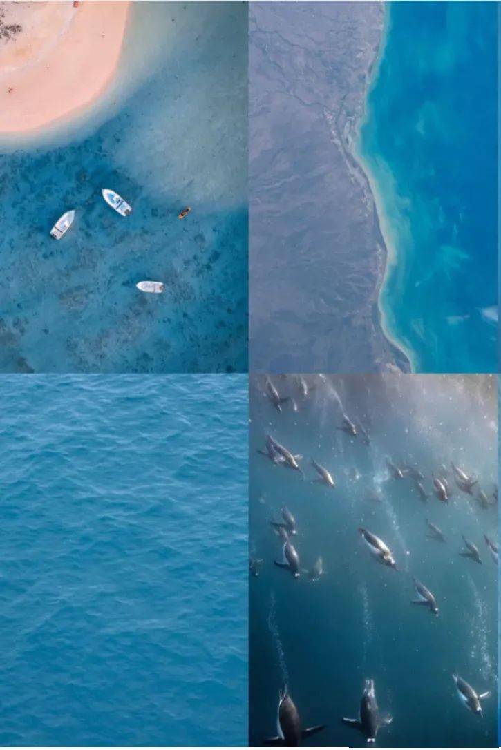 白成|黄轩录一天综艺就“黑化”，为啥同行的乔欣能躲过烈日，白成一道光？