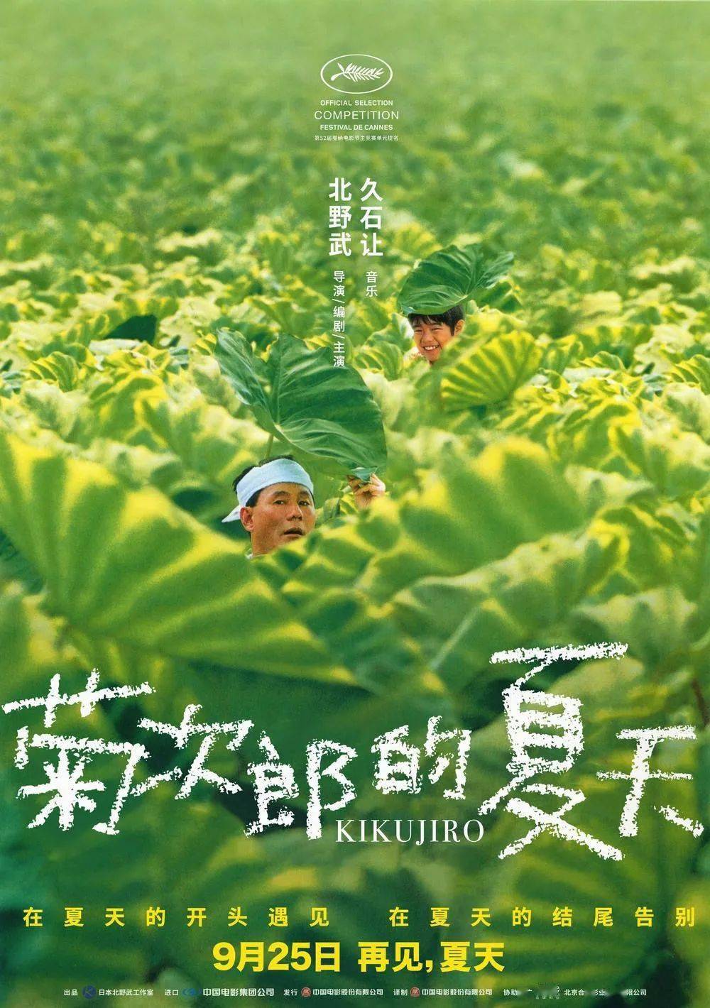 新片上映丨《菊次郎的夏天》用这部夏日专属影片,和这个夏天告别.