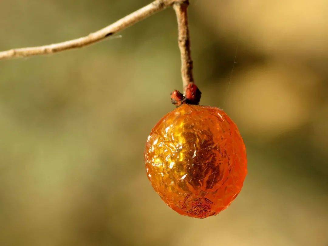 图片|说出来你可能不信,让鬼见愁的可能是洗手液