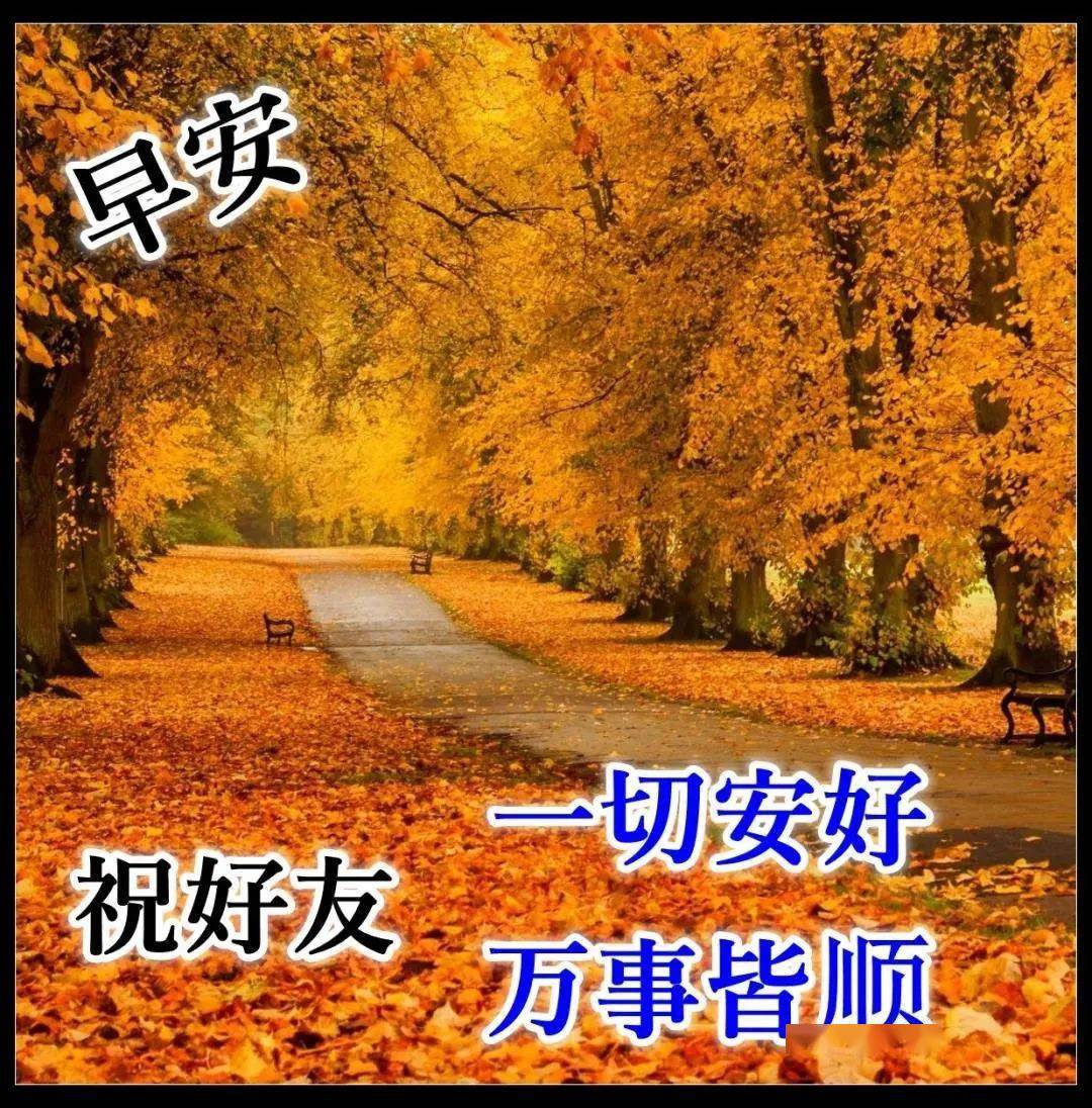 唯美的秋天风景枫叶早上好图片温馨带字漂亮秋天枫叶早安问候图片精选