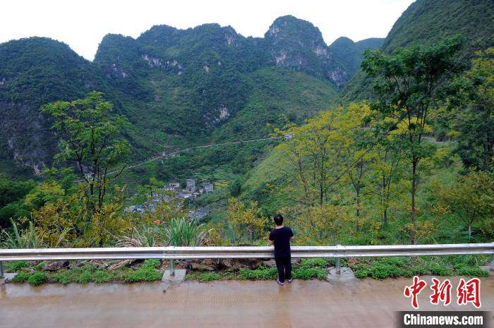 天梯|广西大化大石山区瑶胞求学路：从断崖天梯变坦途