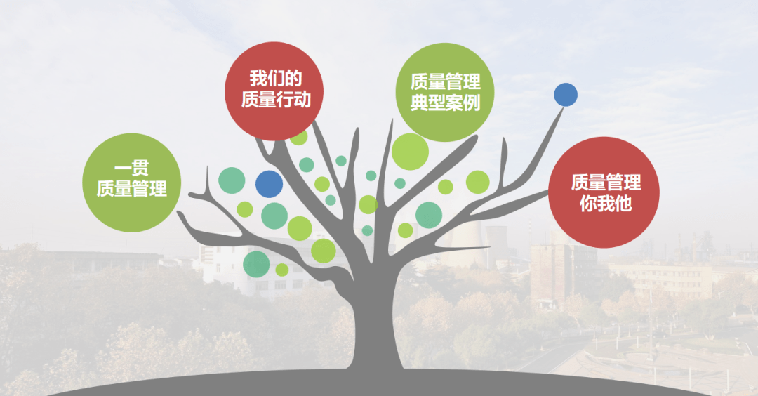 活力梅钢┃质量管理的知与行