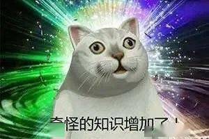 西游记|泰国版“西游记”登上了选美舞台？看完2020最令人迷惑的大尺度走秀，网友们都惊了