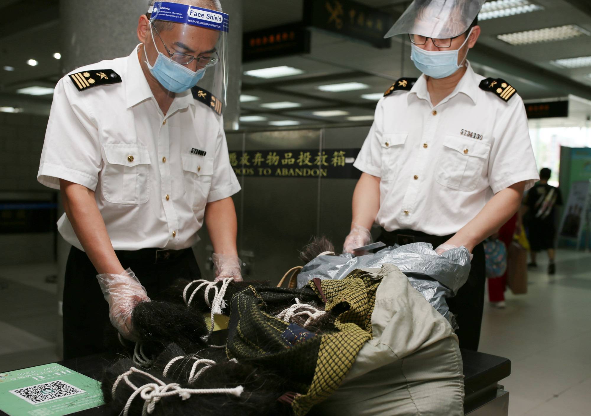 珠海人口信息自助申报_珠海长隆海豚自助餐厅(2)