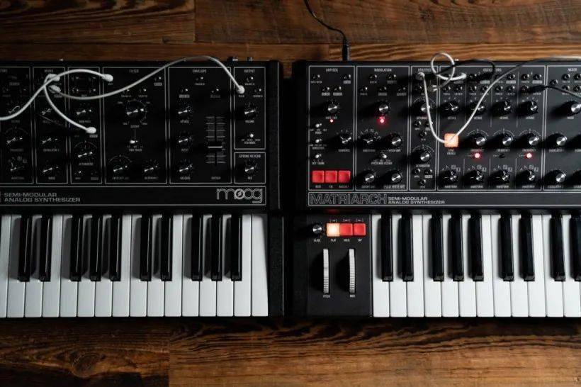 送料込】 Moog 美品 Edition Dark Grandmother 鍵盤楽器 - www