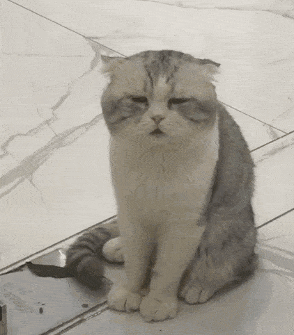 明明上班是坐着的,为啥还是感觉很累?