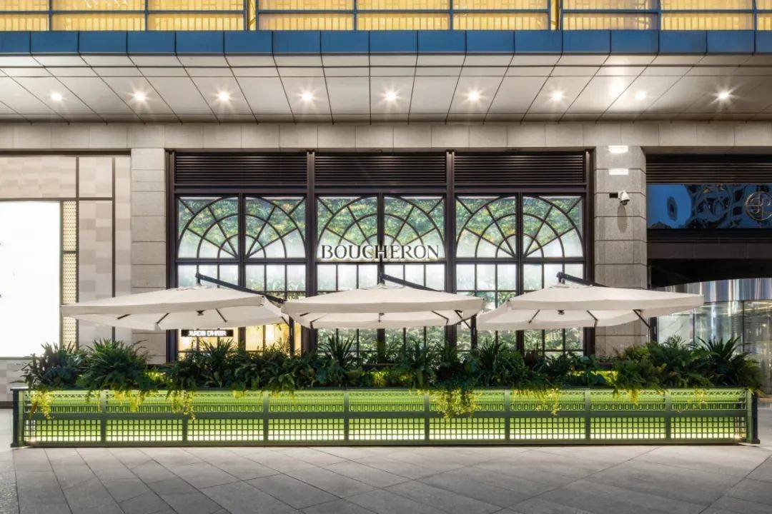 猫咪|戳进来 | 让周冬雨倾情献声的猫咪，原来如此高贵！