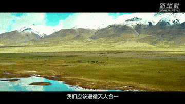 生态治理前后的视频 fc507331361e4f7a90bc6b7c4a4a0882.gif