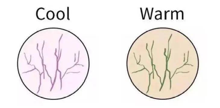 黄皮|亚洲人必备发色来了!显白好驾驭,根据肤色这样选准没错!