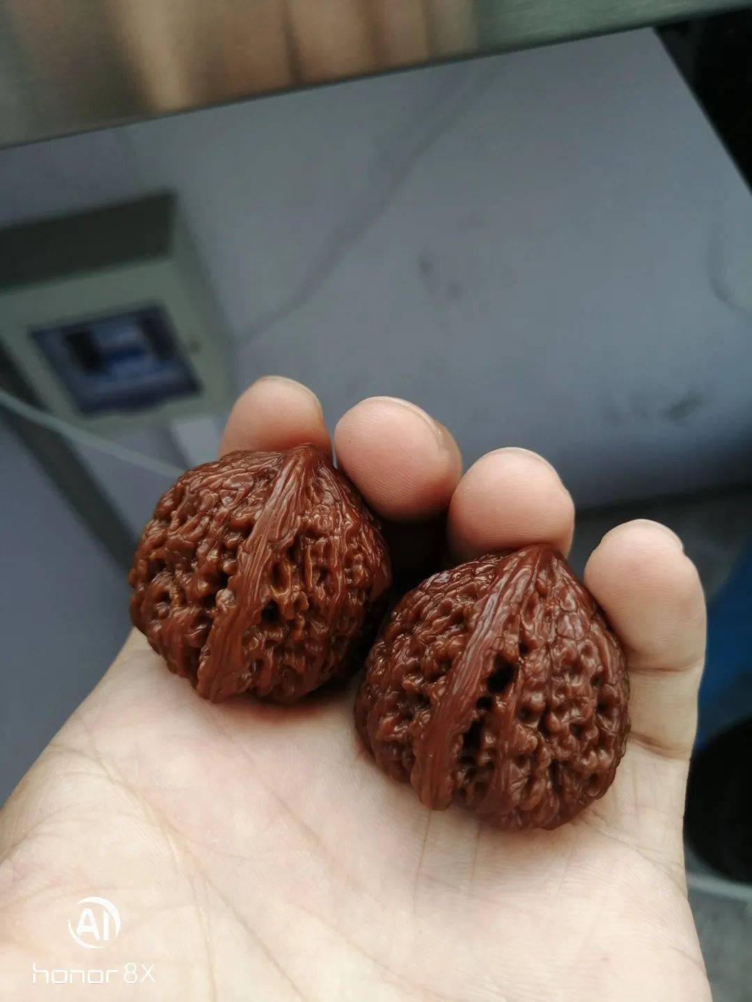 6个月的密纹狮子头刺眼