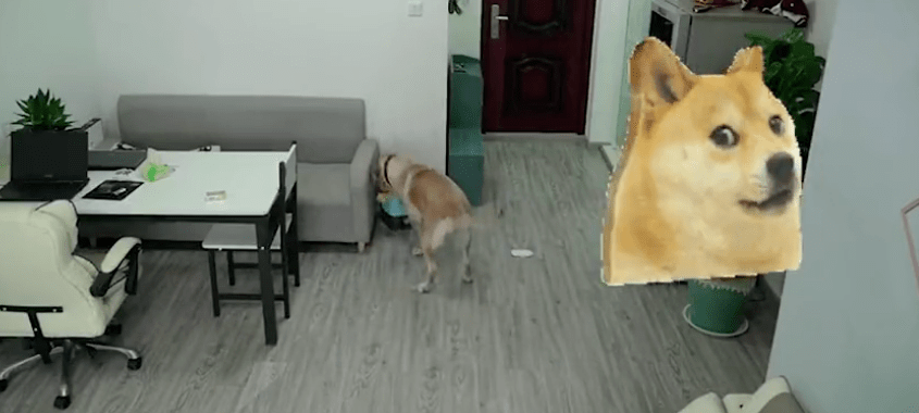 狗子趁主人睡觉开冰箱偷吃，吃完还会丢垃圾…