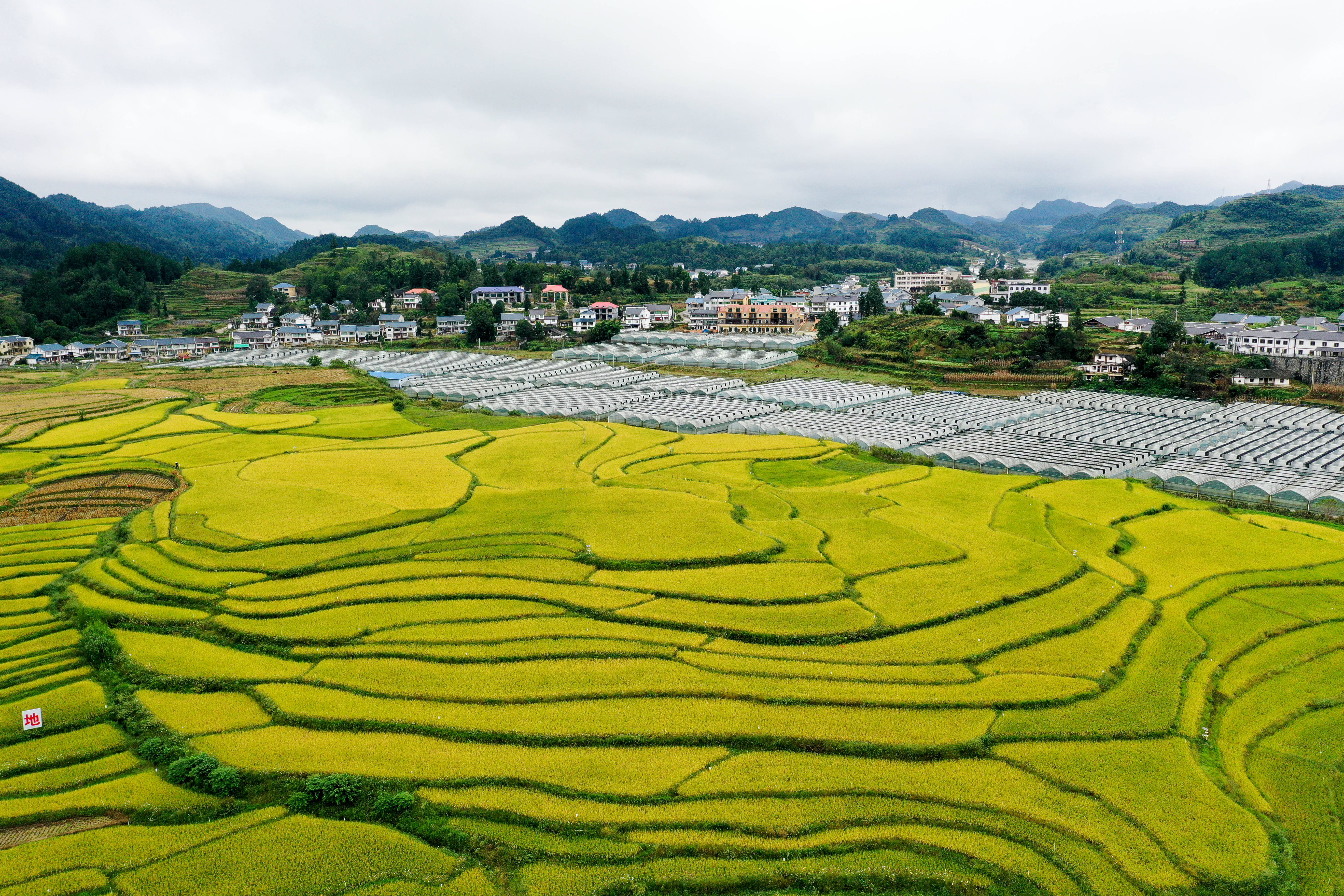 贵州遵义:特色旅游助力乡村振兴