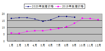 山东德州2020年生猪市场价格上涨