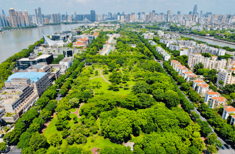 广州GDP增长极_广州gdp(2)