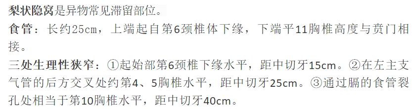 解剖腹部丨消化系统知识点归纳总结