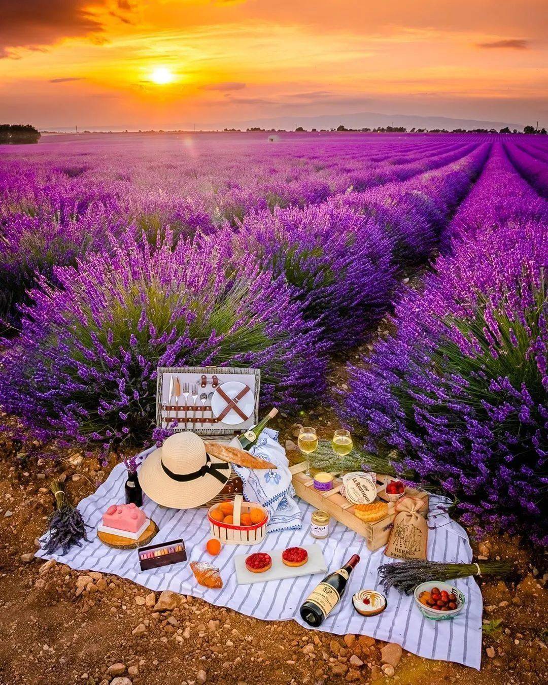 食物|那些明星同款野餐照片，原来是这样拍出来的