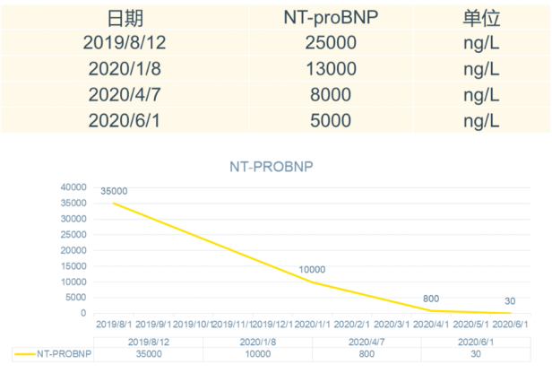 方案|CKD患者如何保护心肾？这个前沿方案你需要了解！