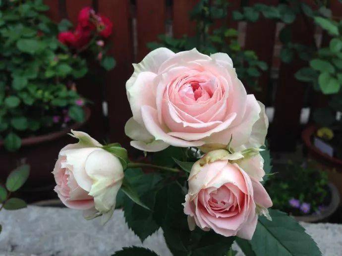 31dd68f06600496cb9bc965d493e9ec9.jpeg