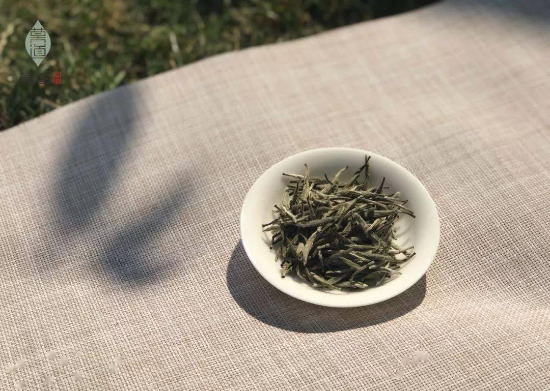 肠胃|早起一杯茶好不好？秋天来了