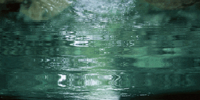 640_320gif 动态图 动图