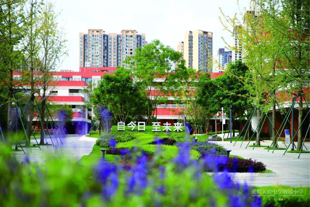 文章配图-14