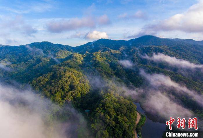 海南出台条例加强对热带雨林国家公园保护管理