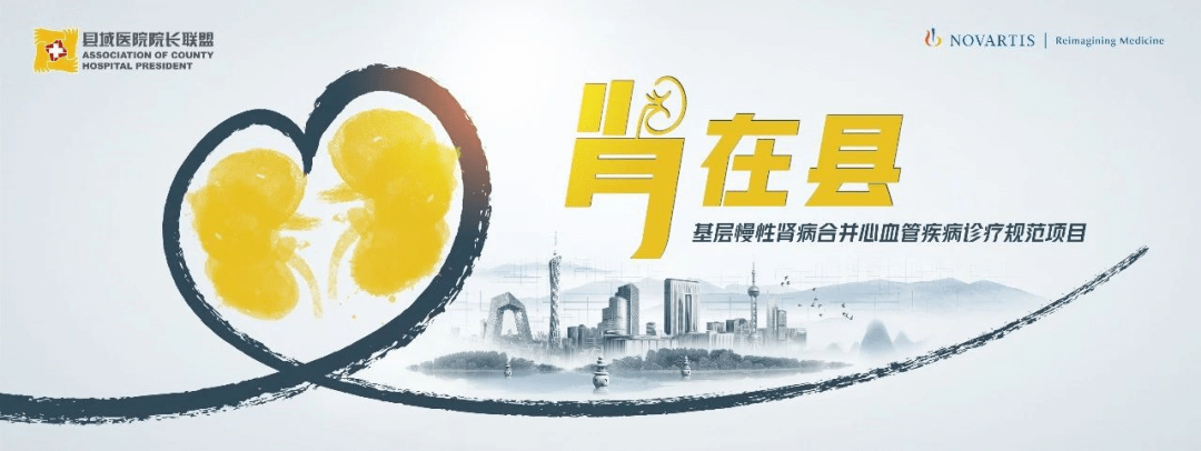 方案|CKD患者如何保护心肾？这个前沿方案你需要了解！