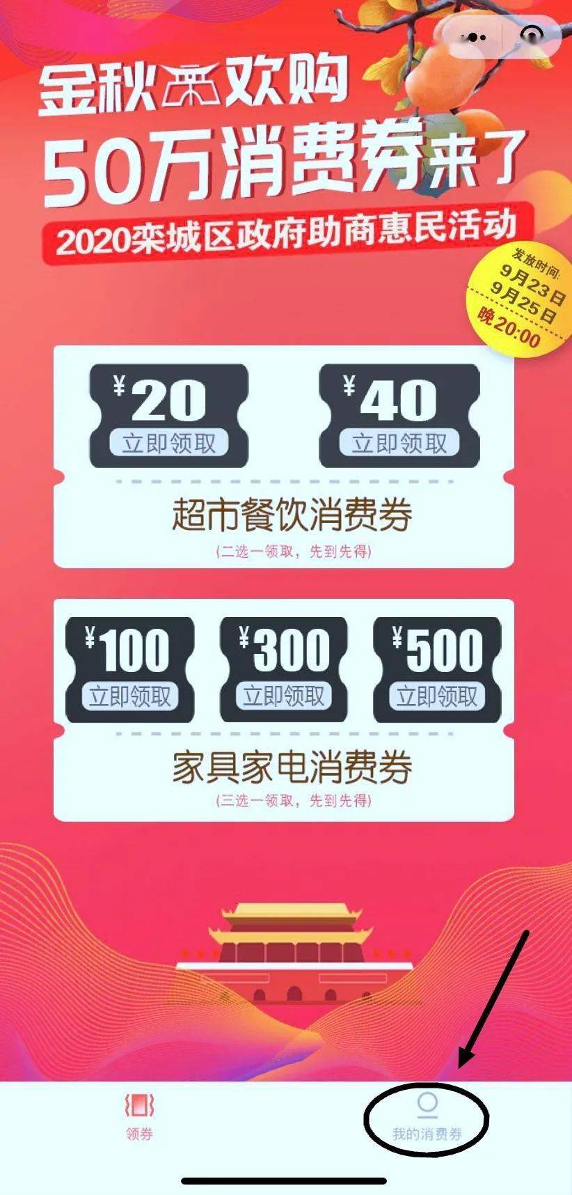 购买的消费券过期案例