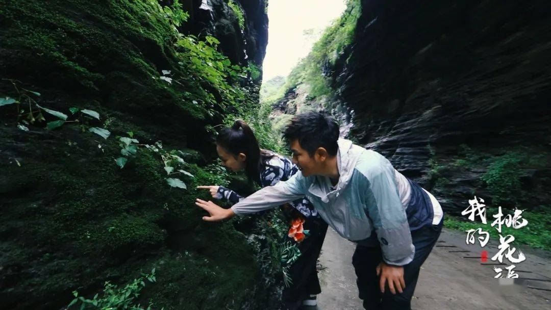 《我的桃花源》今日21:50开播 带您探秘房山"桃花源"